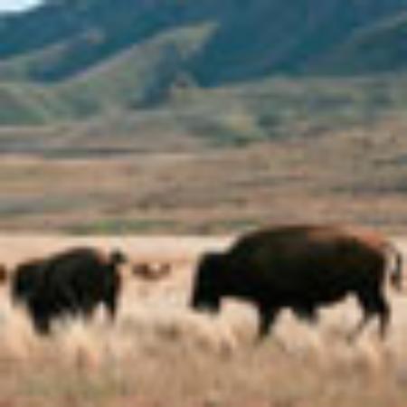 Pizzeria Ristorante Tre Mulini